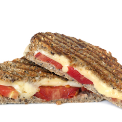 grilled tomato cheese sandwiches