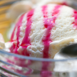 vanilla frozen yogurt berry sauce