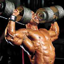 giant sets deltoids routines