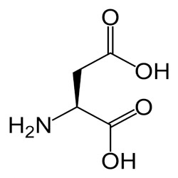 Aspartic Acid