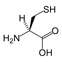 Cysteine