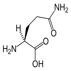 Glutamine