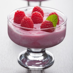 100 calorie berry fro yo