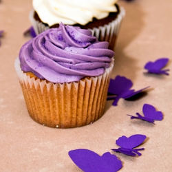 blueberry coconut cupcakes