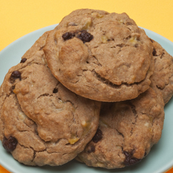 chocolate chip banana cookies