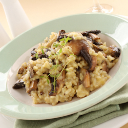 creamy mushroom risotto