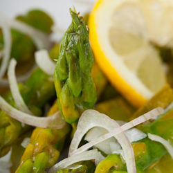 lemon asparagus artichoke salad
