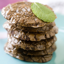 peppermint cocoa cookies