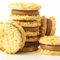sorbet cookie sandwiches