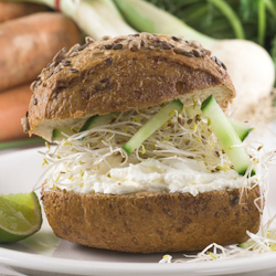 vegetable cream cheese sandwiches