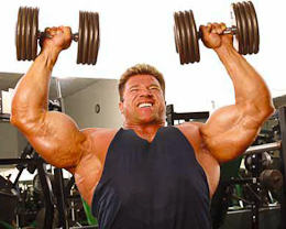 deltoids dumbbell press