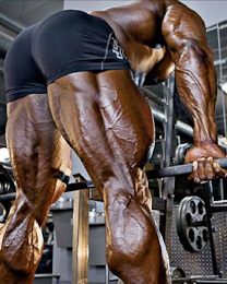 hamstrings weight training