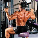 pull pull back biceps trapezius
