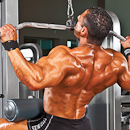 super sets back deltoids