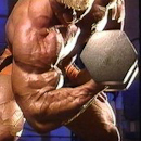 super sets deltoids biceps