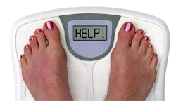 scale help