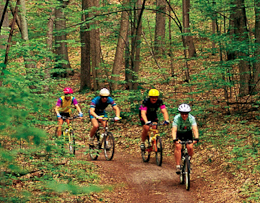 couple biking outside