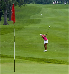 golf hole flag