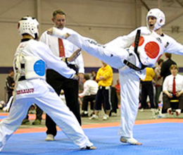 martial arts kick
