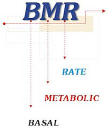basal metabolic rate
