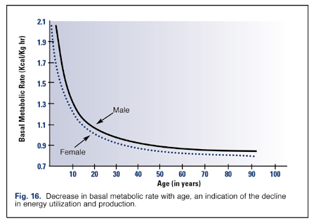 basal metabolic age chart