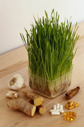 vitamin and mineral sources