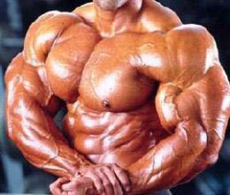 Gaining Muscle Density