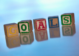 goal blocks