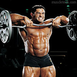 trapezius weight training