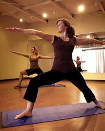 Meticulous Yoga Styles