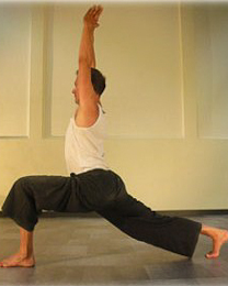 Relaxing Integral Yoga
